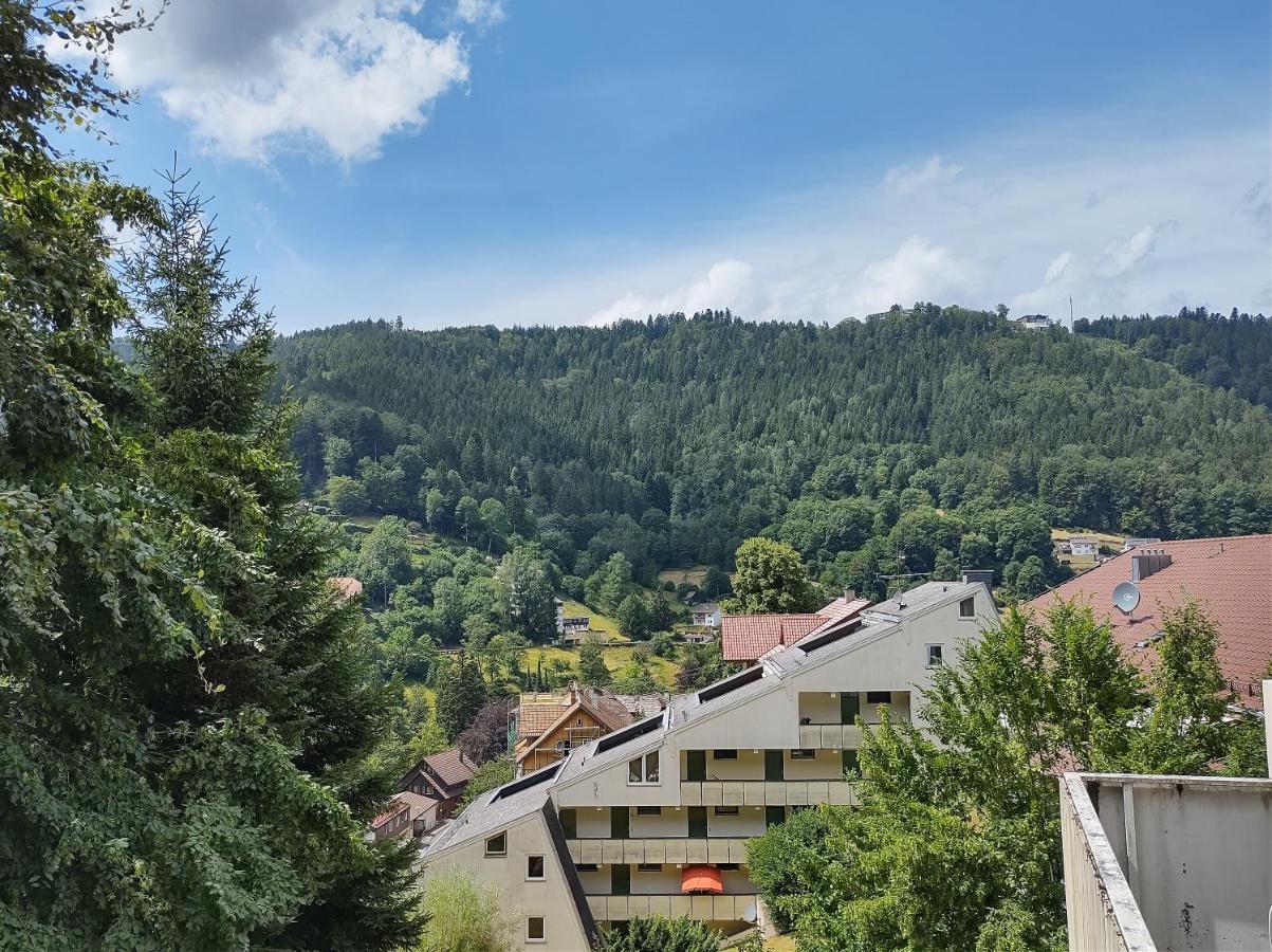 Ein-Zimmer Apartment Mit Aussicht باد ويلباد المظهر الخارجي الصورة
